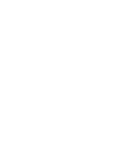 Mithril Resources Limited's Logo in Reverse